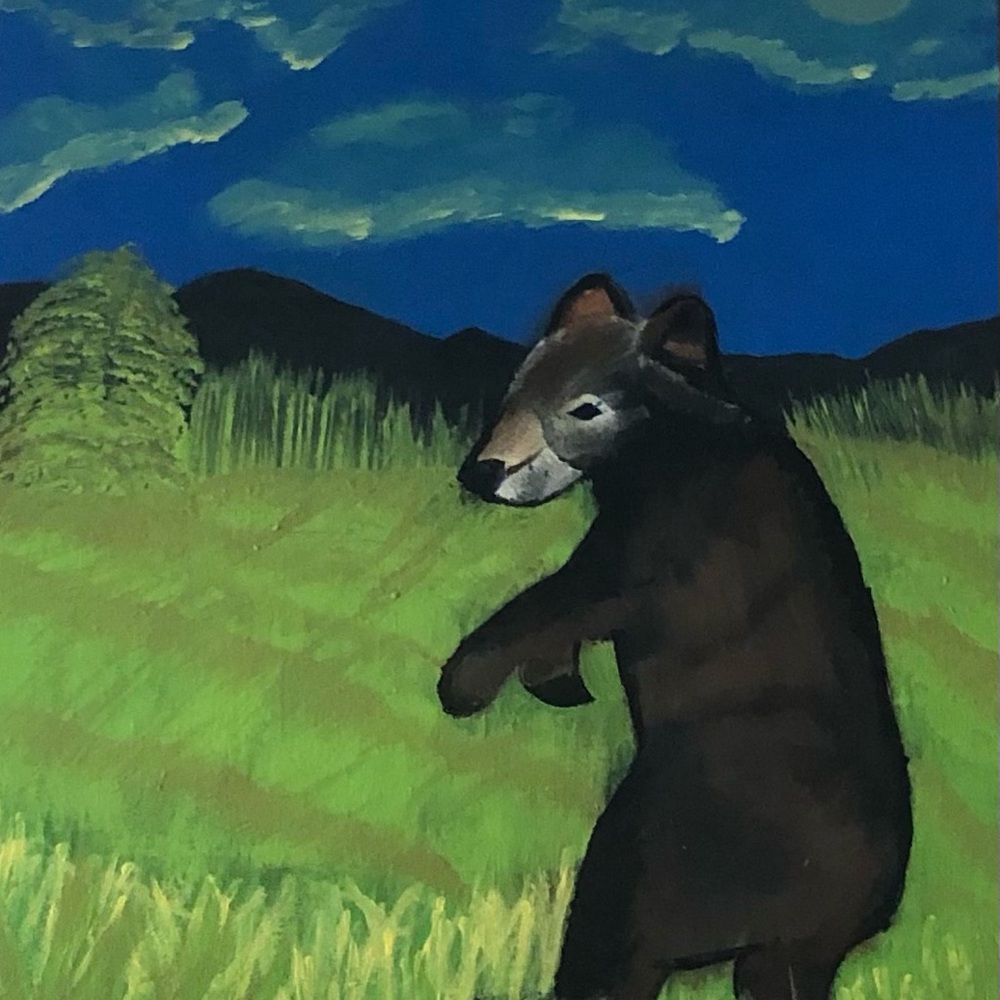The Bear